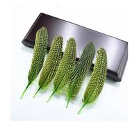 pheasant feathers, Pheasant & Spotted Pearl Chicken Feathers, Multicolor, 5-7in, 100pcs