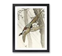Pheasant In Flight By Ohara Koson Asian Japanese Framed Print | A3 Black Framed Wall Art | Ready to Hang | Asian Nature Picture | Living Room Bedroom Lounge Office