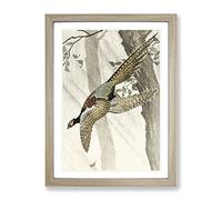 Pheasant In Flight By Ohara Koson Asian Japanese Framed Print | A4 Oak Framed Wall Art | Ready to Hang | Asian Nature Picture | Living Room Bedroom Lounge Office