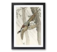 Pheasant in Flight by Ohara Koson Framed Print | A2 Black Framed Wall Art | Ready to Hang | Modern Nature Picture | Living Room Bedroom Lounge Office