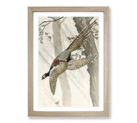 Pheasant in Flight by Ohara Koson Framed Print | A2 Oak Framed Wall Art | Ready to Hang | Modern Nature Picture | Living Room Bedroom Lounge Office