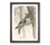 Pheasant in Flight by Ohara Koson Framed Print | A2 Walnut Framed Wall Art | Ready to Hang | Modern Nature Picture | Living Room Bedroom Lounge Office