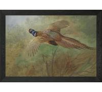 Pheasant in Flight Painting Framed Wall Art Poster Print Picture (A4, Black)