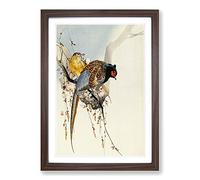 Pheasants Upon a Plum Blossom Tree by Ohara Koson Framed Print | A2 Walnut Framed Wall Art | Ready to Hang | Modern Floral Picture | Living Room Bedroom Lounge Office