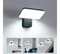 Pheashine Black Adjustable LED Outdoor Wall Light, 16W 6000K Cool White, 20cm Pheashine Black
