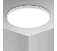 Pheashine Bright Round Waterproof LED Ceiling Light 24W Cool White 6500K Pheashine White