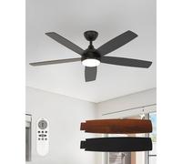 Pheashine Dimmable Ceiling Fan With Light 22W 3000K-6500K in Black Pheashine Black