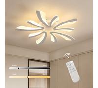 Pheashine Dimmable Led Ceiling Light,48W 4000Lm Dia 75Cm 3000K 6500K Acrylic With Remote Control For Living Room Or Bedroom