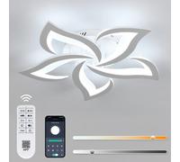 Pheashine Dimmable Led Ceiling Light With Remote,40W 4200Lm 60Cm 3000K-6000K For Bedroom Or Living Room