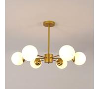 Pheashine Elegant Pendant Light 6-Light Glass Shade E27 Base Gold Pheashine Gold