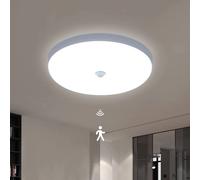 Pheashine Energy Efficient Tri-Proof Ceiling Light 30W Motion Sensor 6500K in White Pheashine White