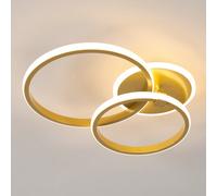 Pheashine Led Acrylic Ceiling Light, Two Circles Of Gold, Large Circle 30, Small Circle 24, Warm Light, 220V 40W