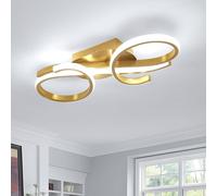 Pheashine Modern Gold LED Ceiling Light, 6500K Nordic Aluminum Flush Mount, 42cm Pheashine Gold