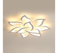 Pheashine Modern LED Ceiling Light, 60W, 220V, 3000K Warm Light, 80cm, Indoor in White Pheashine White
