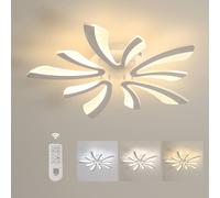 Pheashine Modern LED Ceiling Light White Remote Control Dimming 3000 - 6500K(68cm) Pheashine White