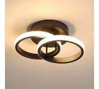 Pheashine Modern Ring Led Ceiling Light,22W Warm White 3000K With 2 Built-In Led Boards For Living Room Or Hallway