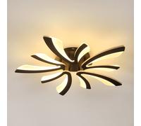 Pheashine Sleek Acrylic Black Ceiling Light 5 Heads Warm Light 3000K Pheashine Black