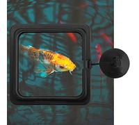 Phefop 1PC -FISCH Feeding Ring Feeder, the Stable Fish Feed Circuit Prevents Floating Foods, Visual Enjoyment for Fish Lovers, Made of Plastic Material of Plastic Material (Square)