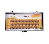 Phefop 60PCS Volume Fans Eyelash Extensions, False Eyelashes Individual Lashes No Knot Thin Base 7 Sizes 6mm to14mm with C Curl for Crude Fluffy Effect (12mm)