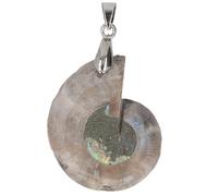 Phefop Ammonite Shell Pendant, Pendant Necklaces Polished Vintage Natural Ammonite Jewelry Side Drilled Gemstone Bead Elegant Ocean Lovers Nature Enthusiasts
