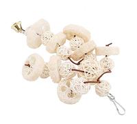 Phefop Loofah Bird Toy with Bells, Hanging Swing Toy for Parrots and Small Birds, Encourages Chewing and Physical Activity, Suitable for Cockatiels, Parakeets and More