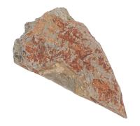 PHENOFICE Authentic Fern Specimen Stone with Lasting Material, Elegant Plant Leaf Specimen Decoration for Office Desk Or History Museum Display, for Paleobotany Enthusiasts and Scientific