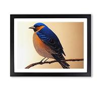 Phenomenal Bird Framed Print | A3 Black Framed Wall Art | Ready to Hang | Modern Nature Picture | Living Room Bedroom Lounge Office