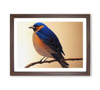 Phenomenal Bird Framed Print | A3 Walnut Framed Wall Art | Ready to Hang | Modern Nature Picture | Living Room Bedroom Lounge Office