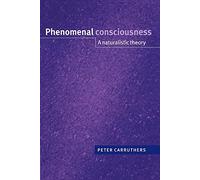 Phenomenal Consciousness: A Naturalistic Theory
