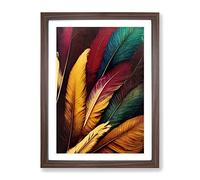 Phenomenal Feathers Framed Print | A4 Walnut Framed Wall Art | Ready to Hang | Modern Nature Picture | Living Room Bedroom Lounge Office