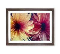 Phenomenal Flowers Framed Print | A2 Walnut Framed Wall Art | Ready to Hang | Modern Floral Picture | Living Room Bedroom Lounge Office