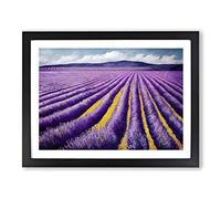 Phenomenal Lavender Flower Field Framed Print | A2 Black Framed Wall Art | Ready to Hang | Modern Floral Picture | Living Room Bedroom Lounge Office