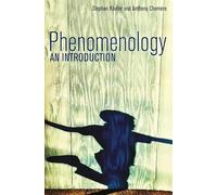 Phenomenology: An Introduction