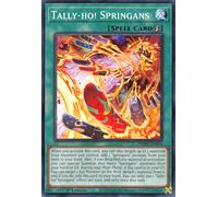 PHHY-EN054 Tally-Ho! Springans
