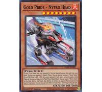 PHHY-EN087 Gold Pride - Nytro Head