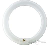 Phi.LM Leuchtstofflampe 32W nws ringförmig TL-E 32W/840