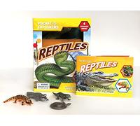 Phidal Reptiles Pocket Explorers - Activity Books for kids, 22-page fun facts book, 4 figurines