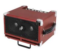 Phil Jones Bass BG-120 Bass Cub Pro 120W Combo Bass Guitar Amplifier