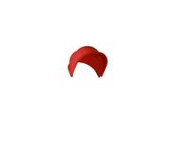 Phil & Teds SMHOOD-V2-11 Smart Sun Canopy