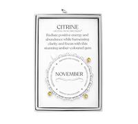 Philip Jones November (Citrine) Birthstone Stretch Charm Bracelet with Quote Gift Box