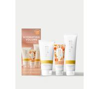 Philip Kingsley female Hydrating Volume Collection