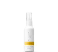 Philip Kingsley Maximizer Root Boosting Spray 60ml