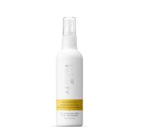 Philip Kingsley Styling Maximizer Root Boosting Spray 125ml