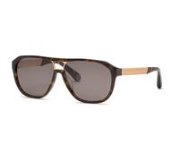 Philipp Plein Spp118m Sunglasses Brown Brown / CAT3 Men