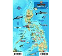 Philippines Dive Map & Coral Reef Creatures Guide Franko Maps Laminated Fish Card