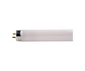 Philips 18w 2ft 600mm Colour 840 Cool White 4000K T8 Fluorescent Tube
