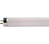 Philips Fluorescent tube G13 T8 18W MASTER TL-D Super 865