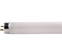 PHILIPS 25 865 Fluorescent Light Bulb 18 Watt TL-D Pack of 10