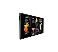 PHILIPS Dis Public 50 Compatible 50BDL3117P/00 P-Line