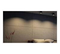 Philips 533003016 Phase Surface LED Light Black 4.5W Warm White Di...